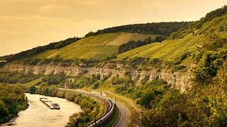 Cata de vinos y visita guiada en Weingut Höfling