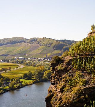 Degustação guiada de vinhos no Weingut Mönchhof