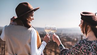 Degustazione veloce di vini nella cantina Válka