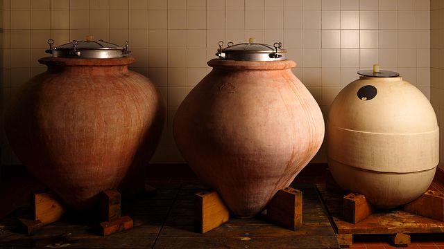 Cata de vinos "1883" y visita guiada completa a la bodega Antonelli San Marco