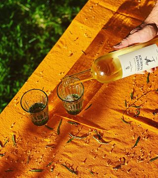 Bekaa Valley Wine & Vineyard Discovery at Domaine des Tourelles