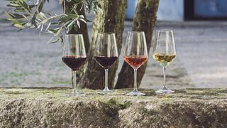 Vinprovning och rundtur på Domaine Galevan