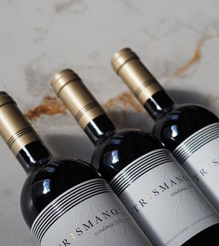 Cata de vinos en medio de los viñedos de la Milla de Oro en Ribera del Duero