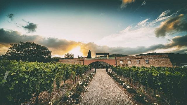 Cata de vinos y visita guiada en Tenuta Casadei