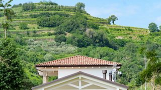 Nature Experience in Fattoria Didattica a Brognoligo