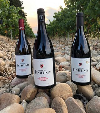 Degustazione di vini e tour della cantina al Domaine des Pentelines