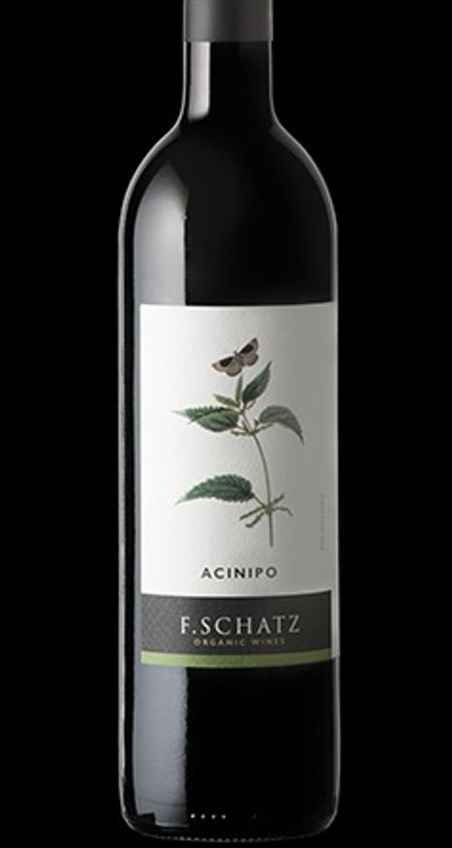 Acinipo 