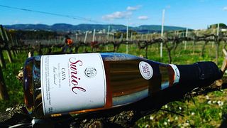 Ländliche Unterkunft im Weingut und Anwesen Suriol