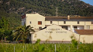 Cata y visita de vinos en Celler Mas Vicenç