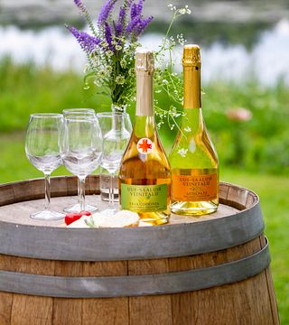 Entdecken Sie die Geheimnisse der Obstweinherstellung in Estland | Weingut Uue-Saaluse