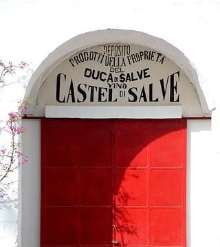 Visite guidée et dégustation de vins à Castel Di Salve