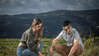 Plantação de Vinho e Vinha na Quinta de Santa Cristina