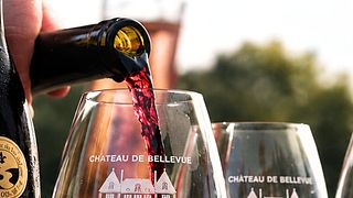 Weinprobe im Château de Bellevue mit einer Platte mit Aufschnitt und Käse