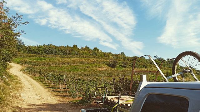 Weinprobe und Tour bei Boscaini Carlo