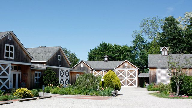 Degustazione di vini e tour ai vigneti Paumanok