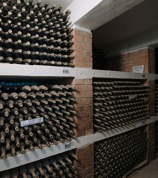Vinprovning och rundtur på Carlevana Winery