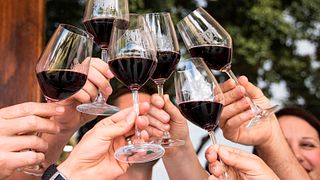 Cata de vinos y visita guiada en Perdeberg