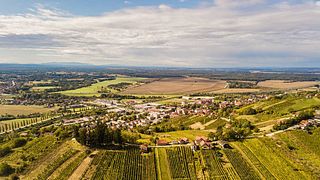 Lendwines
