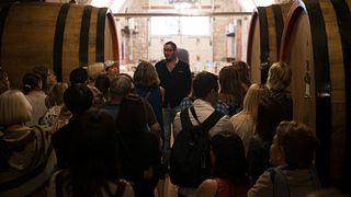 Pranzo leggero | Degustazione di vini e tour alla Fattoria Della Talosa