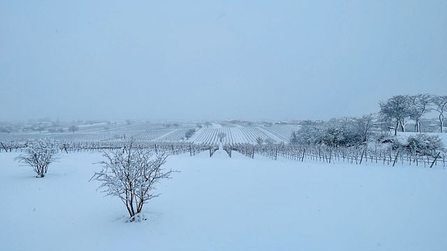 Degustazione di vini con una vista fantastica