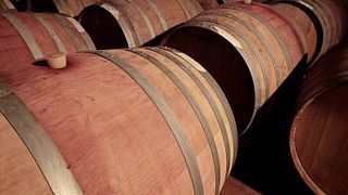 Cata de vinos y visita a la bodega en Contrade Di Taurasi por Enza y Antonella Lonardo