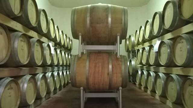 Terre di San Ginesio srl