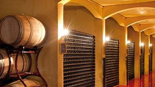 Ca’ D’Or: A Historic Winery in Lombardy