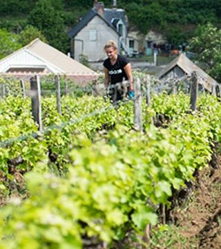 Visita autoguiada em Clos Roussely