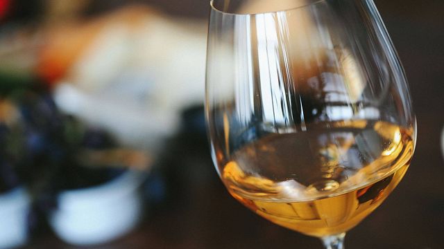Visita privada a Montesquius