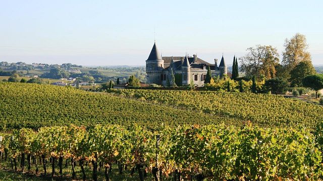 Weinprobe und Führung im Château de la Grave