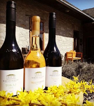 Dégustation et visite de vins haut de gamme chez Karádi-Berger