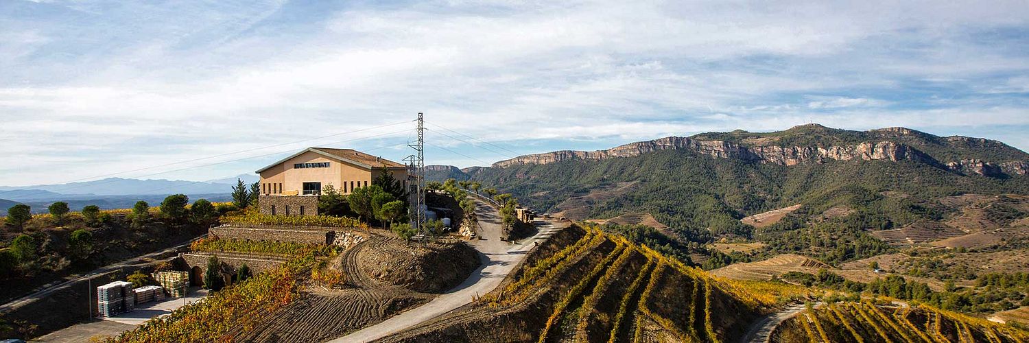 Buil & Giné Winery 1 Wt2025