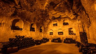 Trésor - Private cellar visit and tasting 