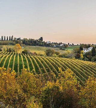 Veneto Prosecco Tour & Tasting at Furlan Vini