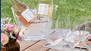 Klassische Weintour bei Umberto Cesari