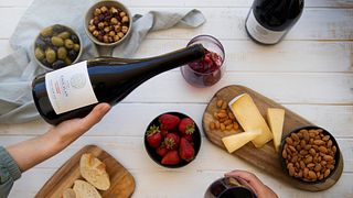 Maipo Wine & Chocolate Pairing at Viña Chocalán