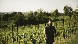 Degustazione e tour di vini a Corte Quaiara