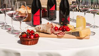 Aromen von Valpolicella: Gourmet-Zwischenstopp