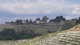 Cascina Belvedere: A Legacy of Piedmont Wines
