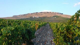 Bodega Ramos-Paul: A Gem in Andalusia