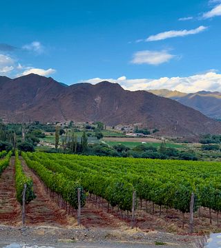 Degustazione di vini e tour alla Bodega Puna