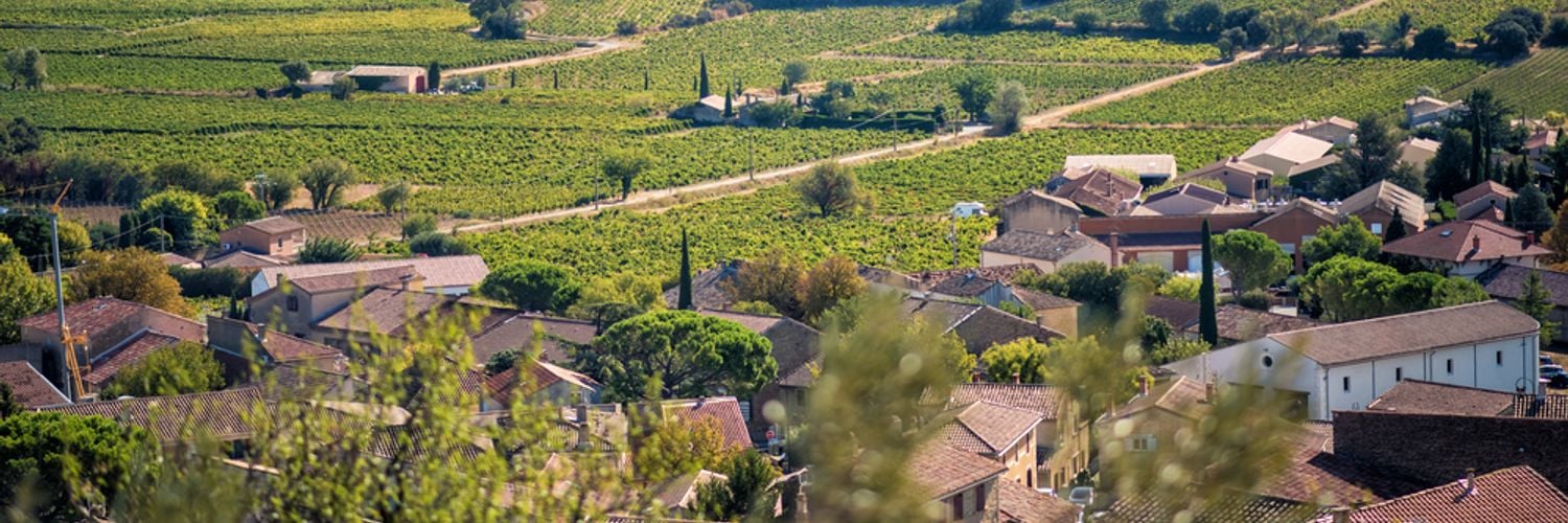 Châteauneuf-du-Pape Vineyards