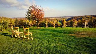 MiroVino: A Family-Owned Boutique Winery