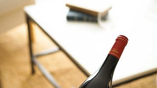 Besök i fatkällaren och vinprovning