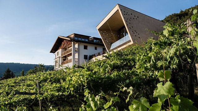 Dégustation de vins chez Franz Gojer - Glögglhof