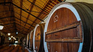 Sintra con jardines del Palacio de Pena y visita a la bodega con catas. Tour en grupos pequeños. 