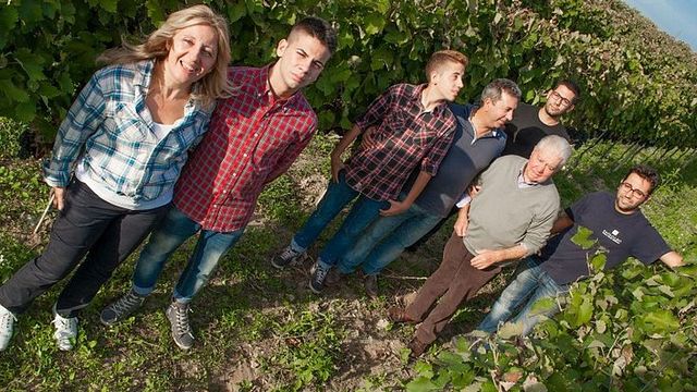 Degustação de vinhos com aperitivos e visita à vinícola na Cantine Paolo Leo