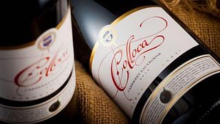 Degustazione di vini presso l'azienda vinicola Colloca Estate