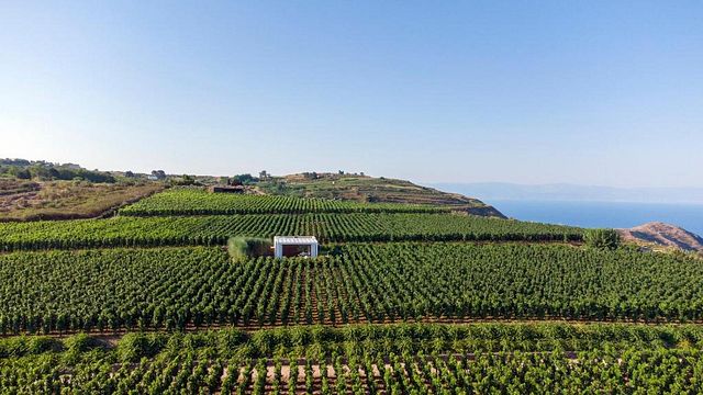 Wine Resort Bo på Tenuta Di Castellaro