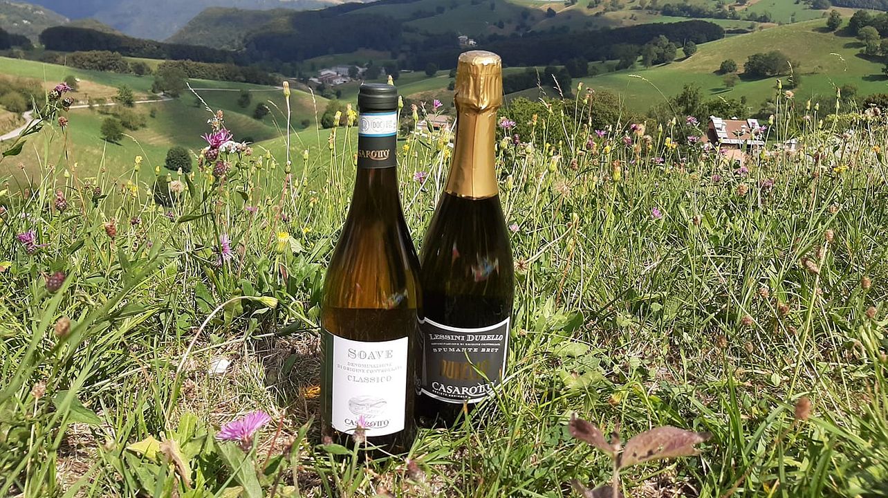Vinprovning och rundtur på Vini Casarotto